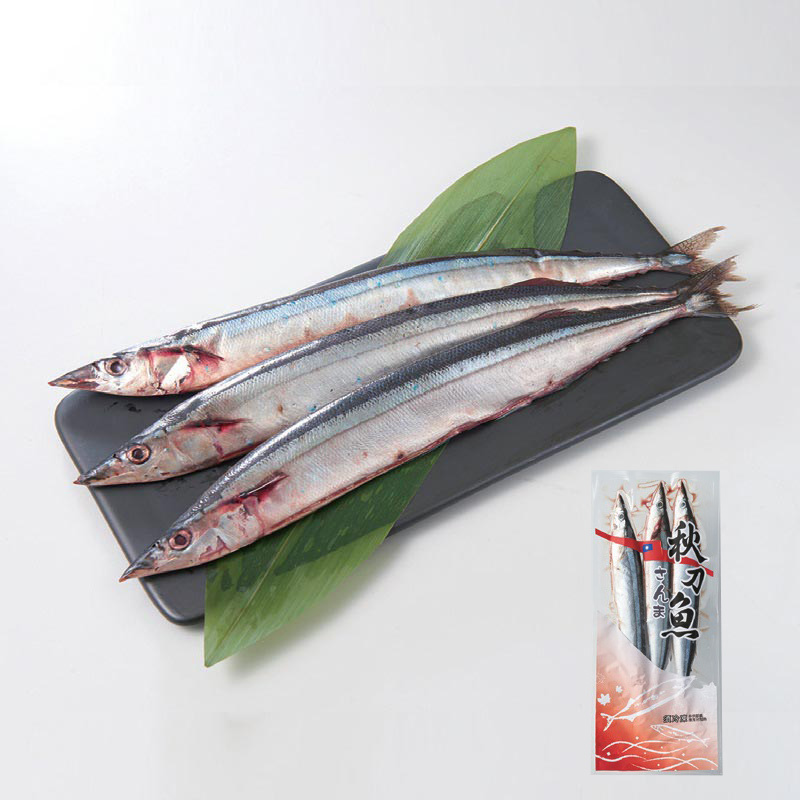 Saury, , large