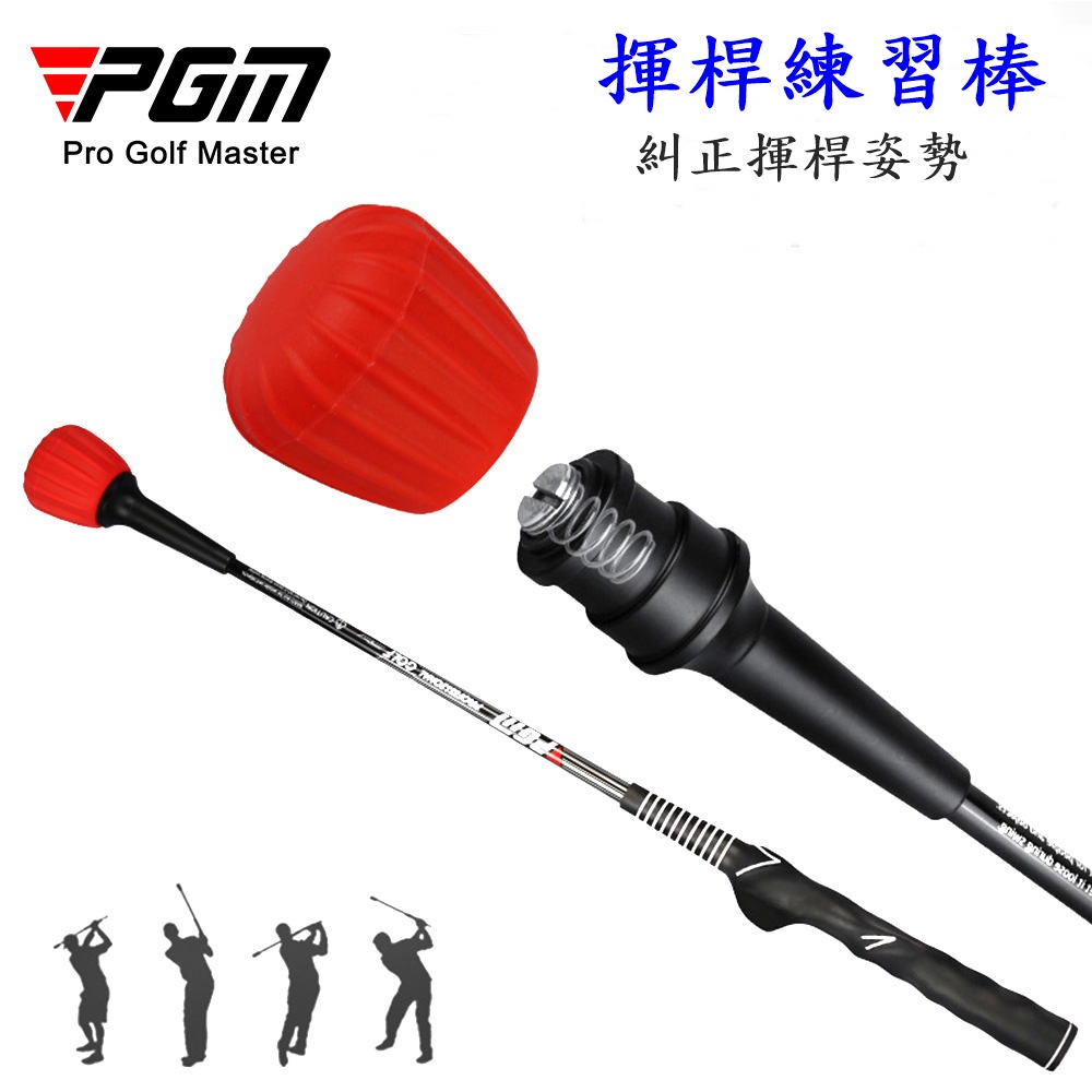 PGM, , large