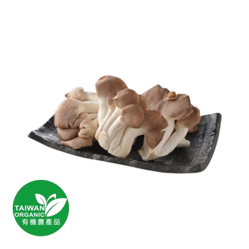 Organic Oyster Mushroom, , large