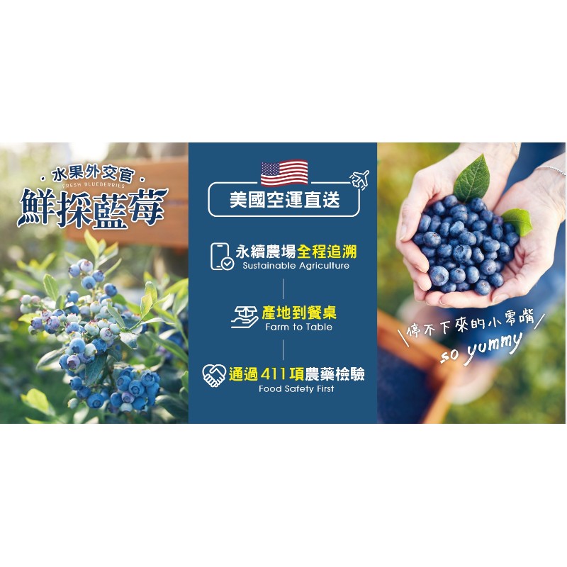 Imported Blueberry, , large