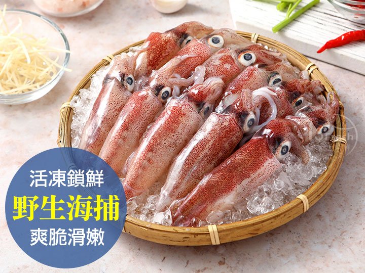 【i3Fresh】frozen Neritic Squid (3box), , large
