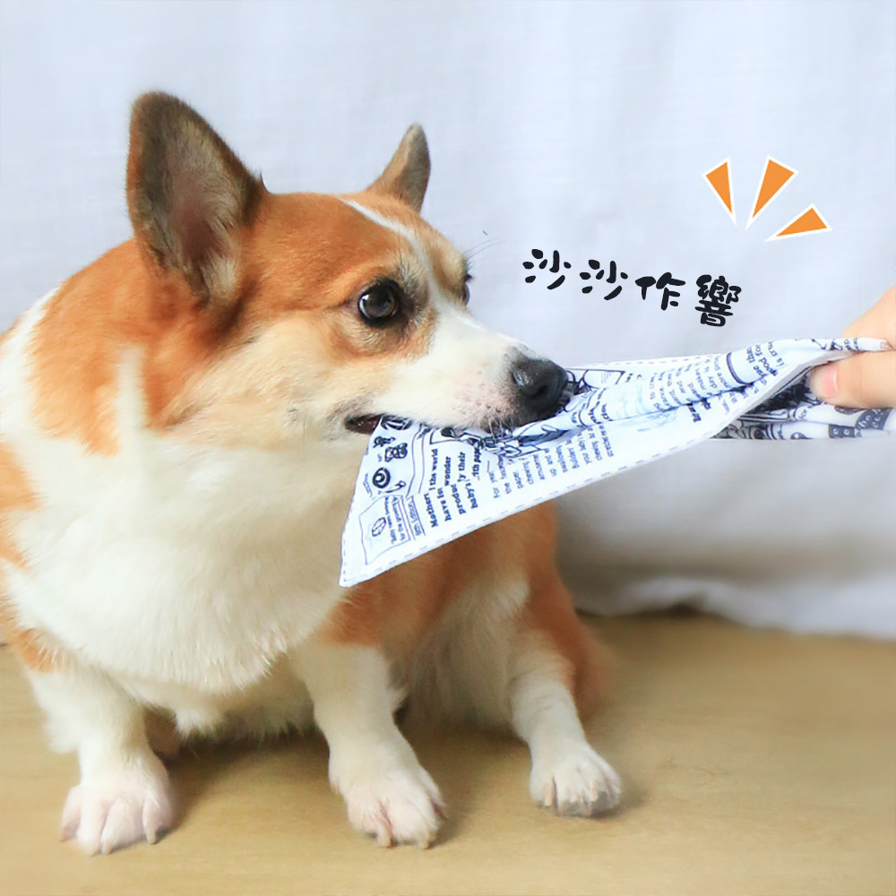 【CITY STAR】寵物狗狗發聲報紙可耐咬磨牙自嗨玩具, , large