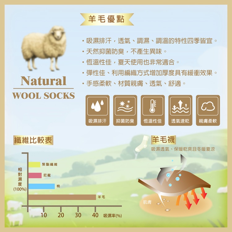 【D&G BEAUTY】D&G羊毛襪-D551 中筒襪, , large