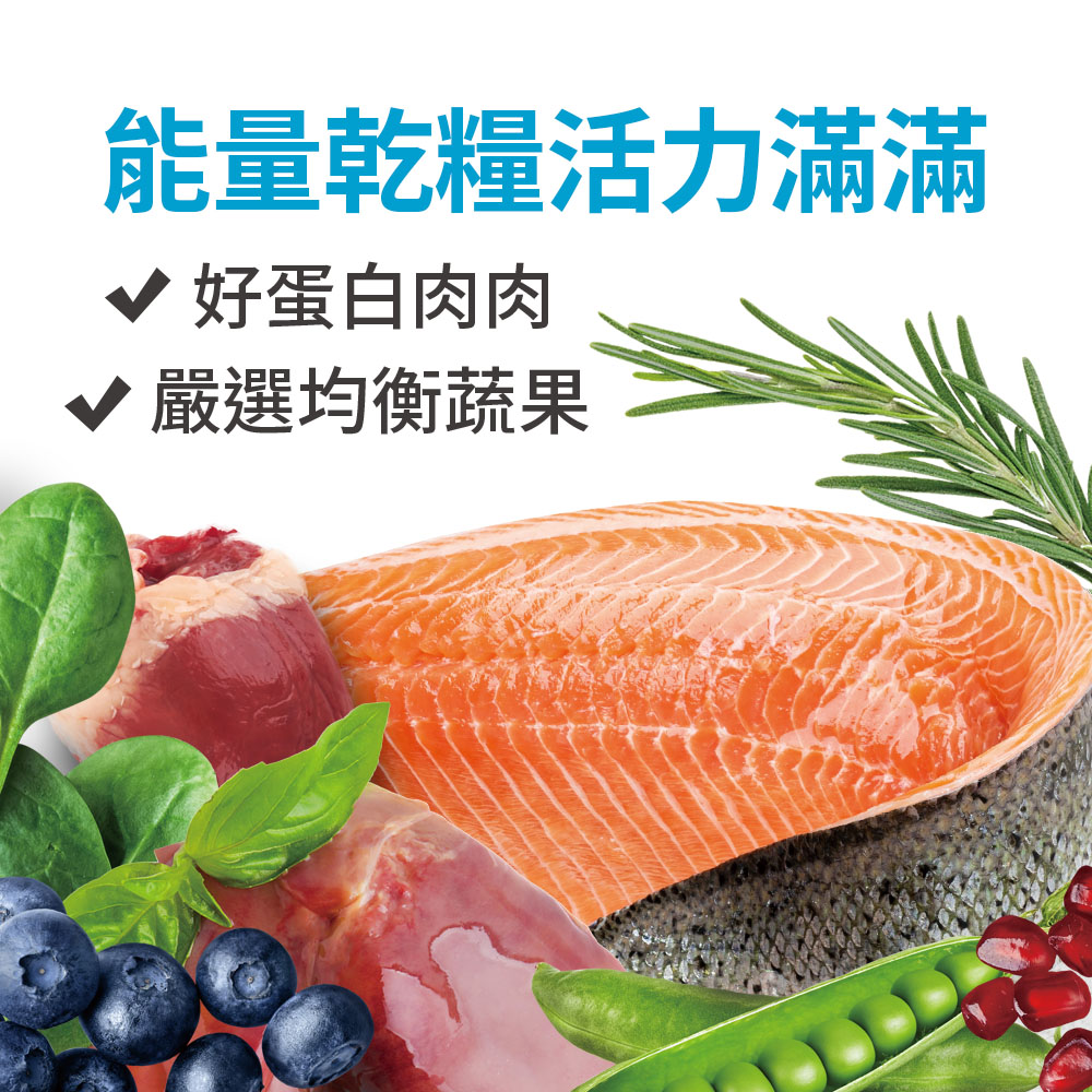 【耐吉斯】P3 凍乾多拼鮭魚餐-全齡貓 350gX2包(貓飼料/貓糧), , large