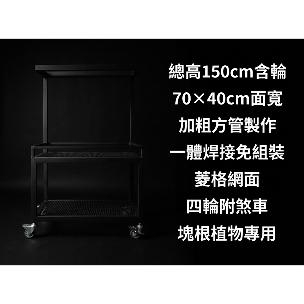 【 SHAONIANNA.TW 】塊根植物架｜加粗方管鐵製一體成型｜菱格網植物架・花架｜工業風消光黑展示鐵架, , large
