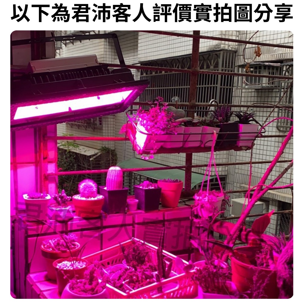 【君沛】紅藍混光 100W超強光壓 抑制徒長 精準發根 壓鑄投射燈 防水防潮 居家陽台 龍舌蘭 多肉控型 專業育苗生長燈, , large