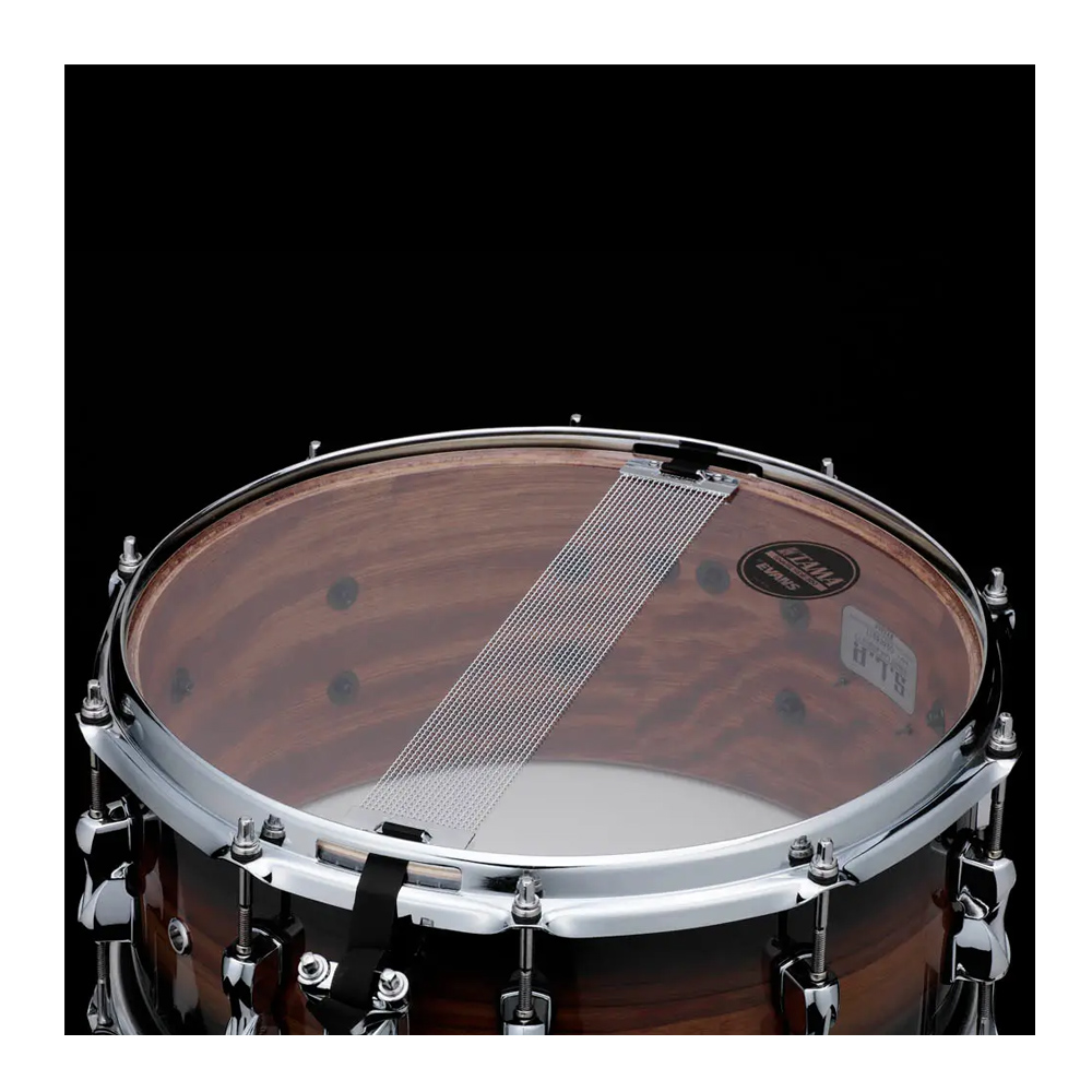 TAMA S.L.P. , , large