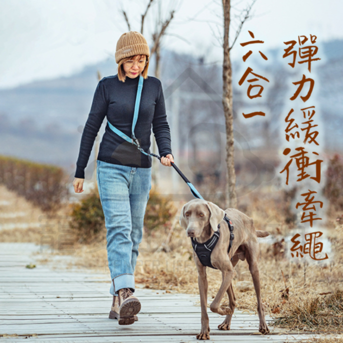 【寵愛生活本舖】六合一彈力緩衝牽繩 斜挎牽繩 防暴衝牽繩 斜背牽繩, , large