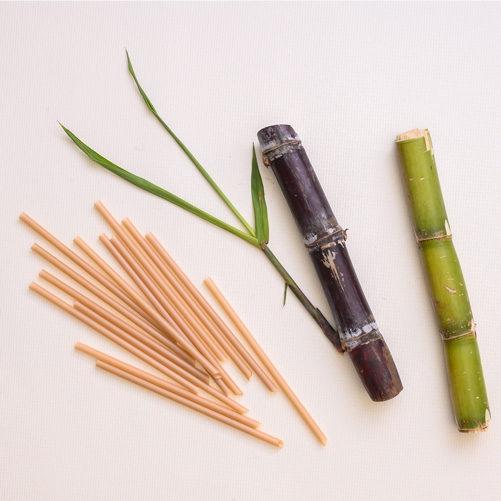 【100%植】12mm 斜口 甘蔗吸管  環保吸管  環保標章認證吸管 珍珠奶茶用吸管50入, , large