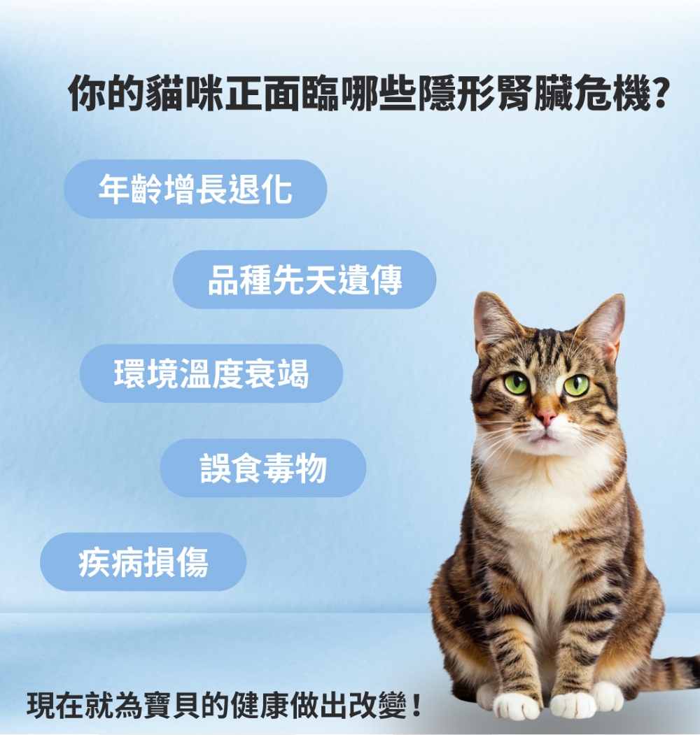 【GOMO PET FOOD】平衡生活/全齡貓腎臟低負擔配方1.5kg 貓飼料 貓糧, , large