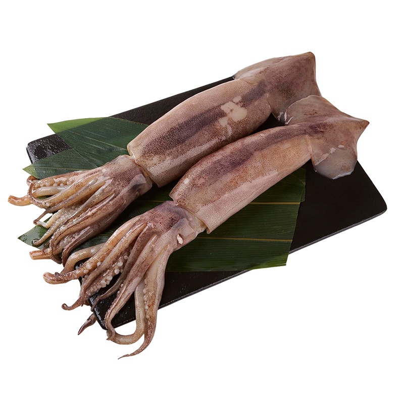 Squid, , large