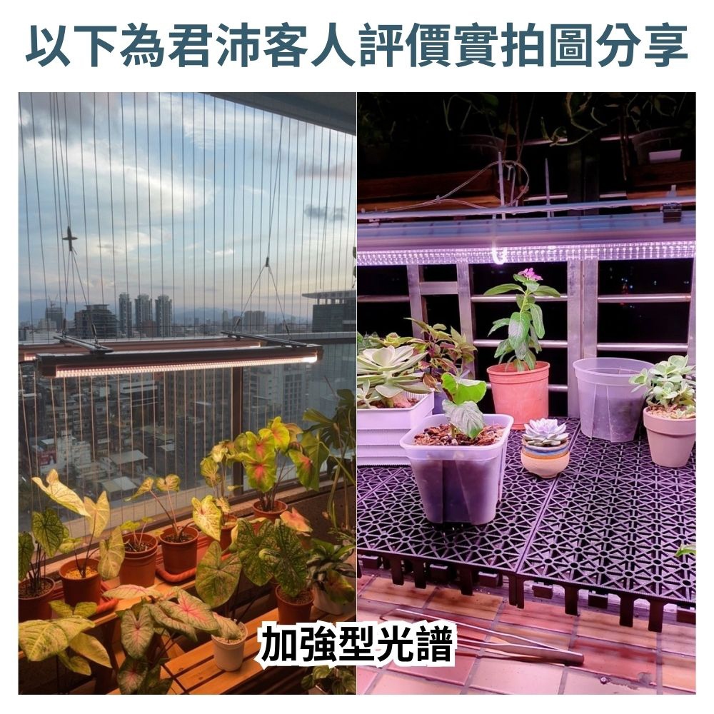 【君沛】2呎 25W 防水植物燈 三防燈 加強型光譜 LED植物生長燈 陽台補光 鹿角蕨 觀葉 龍舌蘭 控養, , large