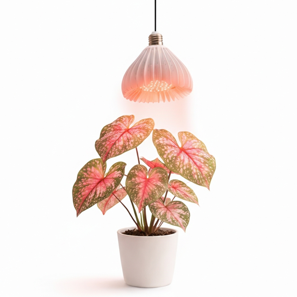 【君沛】40W 加強型光譜 植物燈 抑制徒長 極致光壓 龍舌蘭控型 鹿角蕨 龜背芋 仙人掌上色 吊掛式 E27專業生長燈, , large