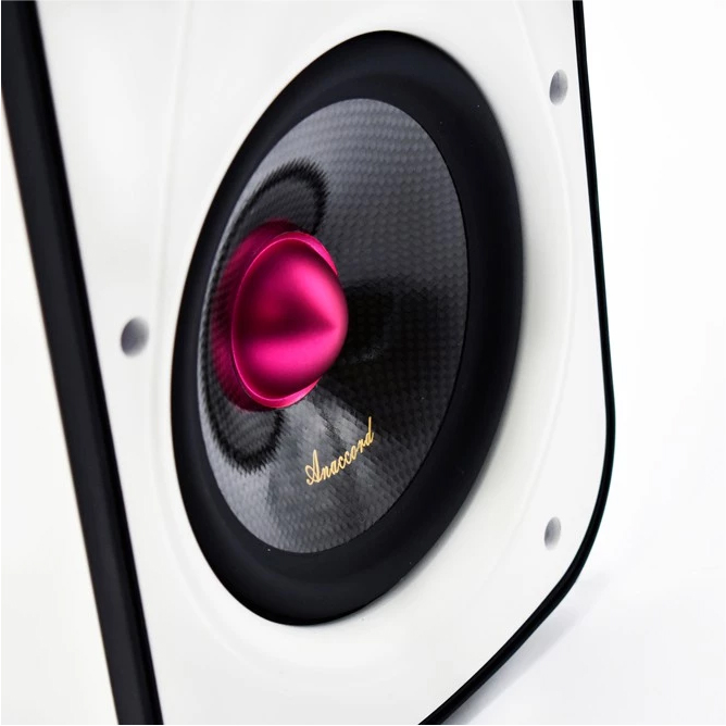 Anaccord雅那歌音響 DC-01-B6-T 6inch RUBY  IPX66 waterproof desktop wall mount speakers 30w 1pair, , large