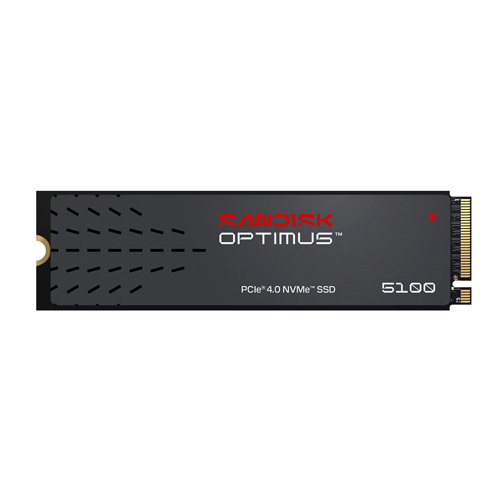 【SanDisk】Optimus 5100 NVMe 4TB SSD M.2 2280 代理商保固公司貨, , large