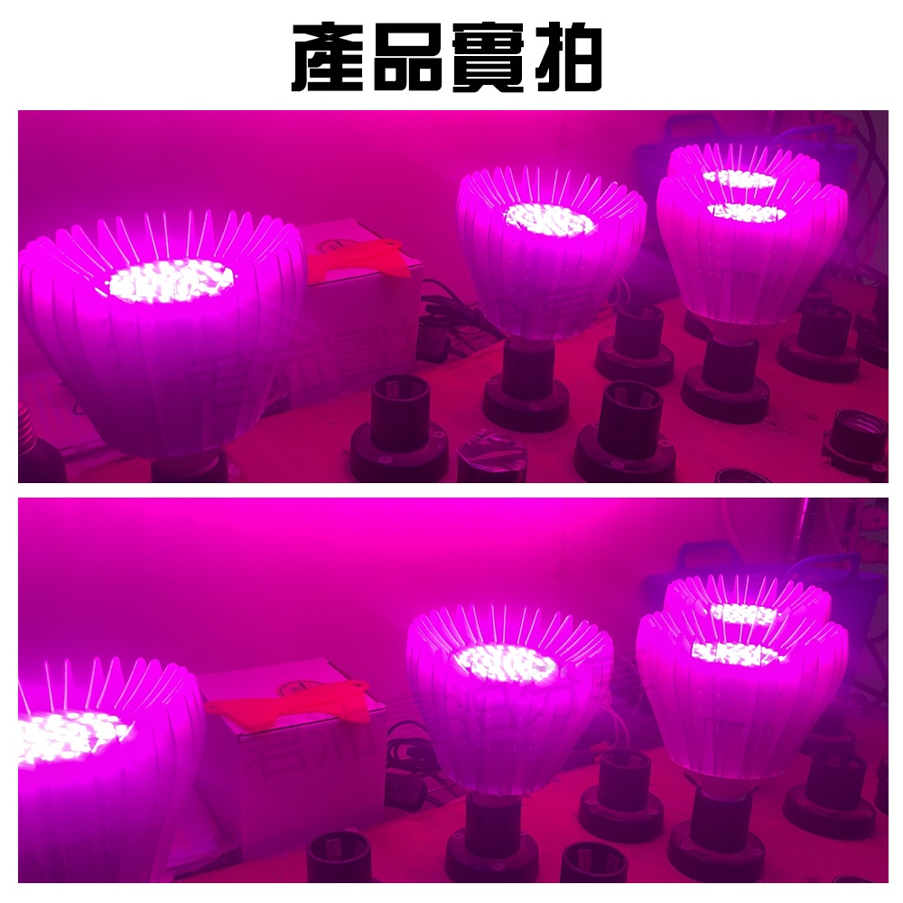 【君沛】LED植物燈 40W E27燈泡 吊掛式紅藍混光 塊根龍舌蘭生長燈 鹿角蕨龜背芋室內補光, , large