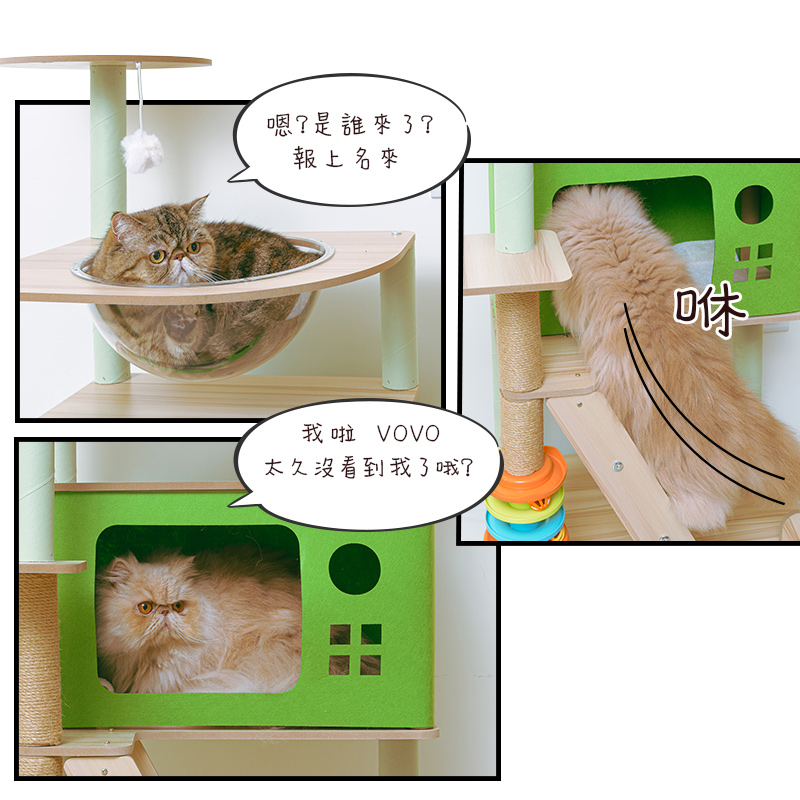 【Y HOUSE】Four-view three-room Jinglan Bicui cat house cat jumping platform cat climbing frame cat bed cat toys thick hemp rope column cat scratching board, , large