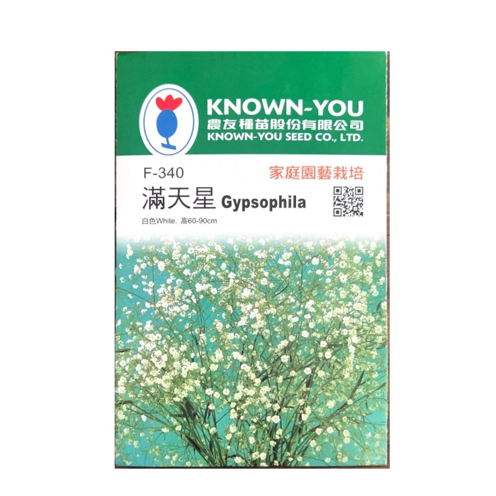 【向花緣】農友 滿天星 - 花卉種子, , large