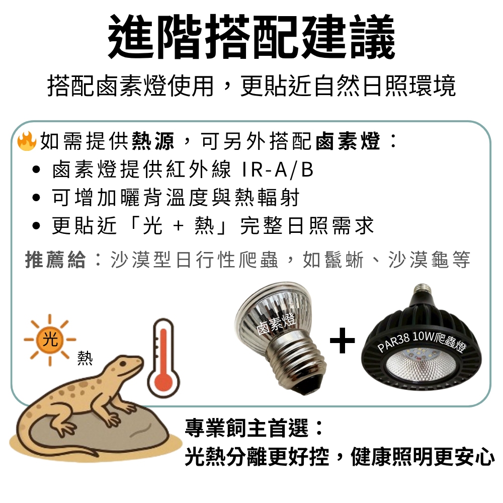 【君沛爬蟲燈】UVB 爬蟲燈 PAR38 10W｜高 UVI LED 補光燈 適用鬃獅蜥 沙漠鬣 赫曼陸龜 烏龜 蜥蜴, , large
