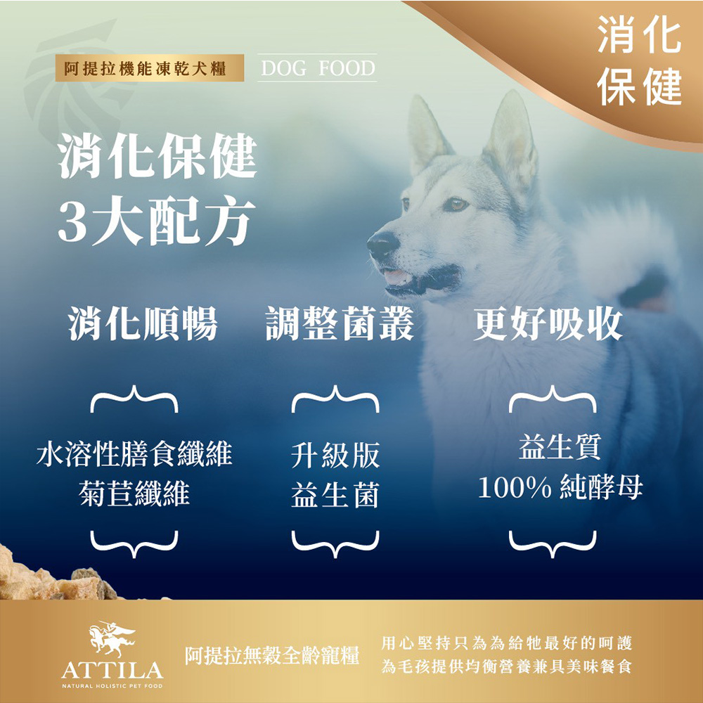【ATTILA 阿提拉】機能凍乾犬糧 雞+鵪鶉+五色胡蘿蔔 消化保健4.8kg(全齡犬/狗飼料/無穀狗飼料), , large