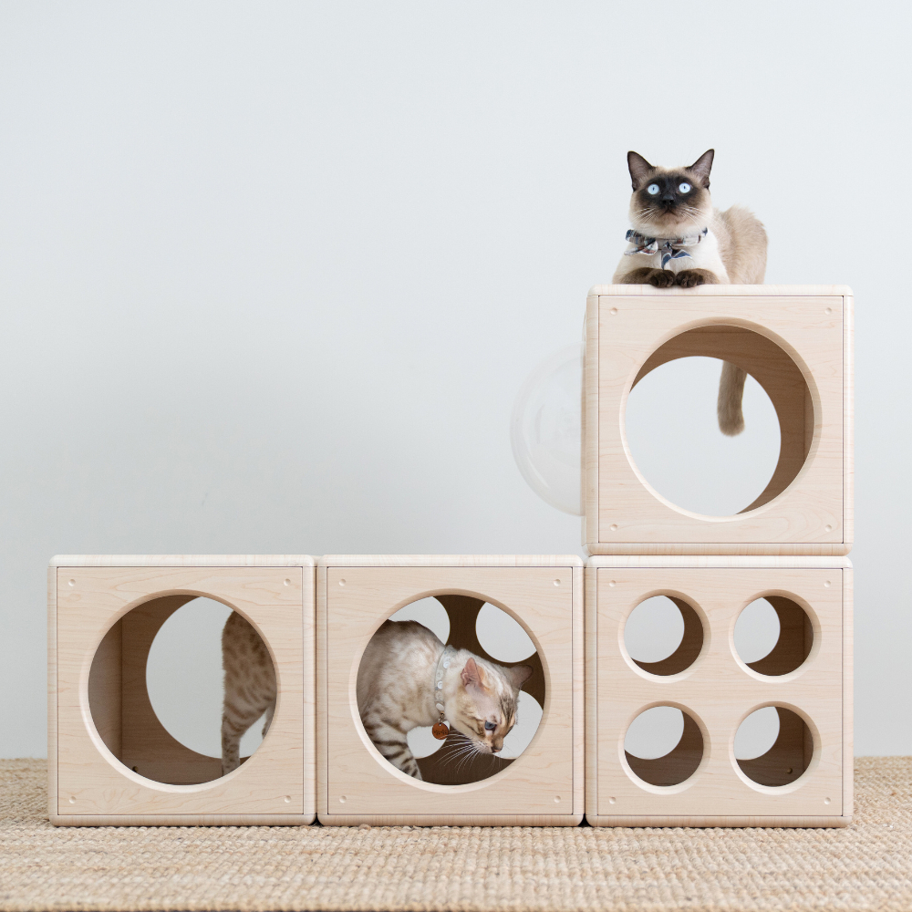 【paipaipets】Wooden Cube - Style B, , large