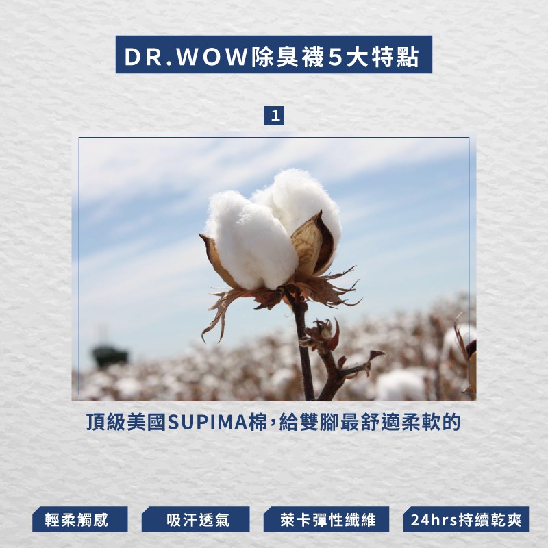 【現貨】Supima抗菌萊卡除臭襪-女氣墊短襪 P6850, , large