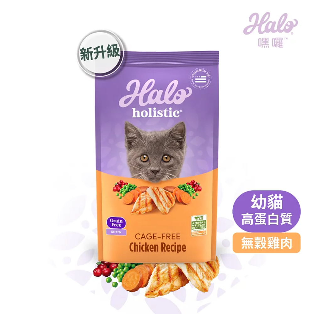 HALO, , large