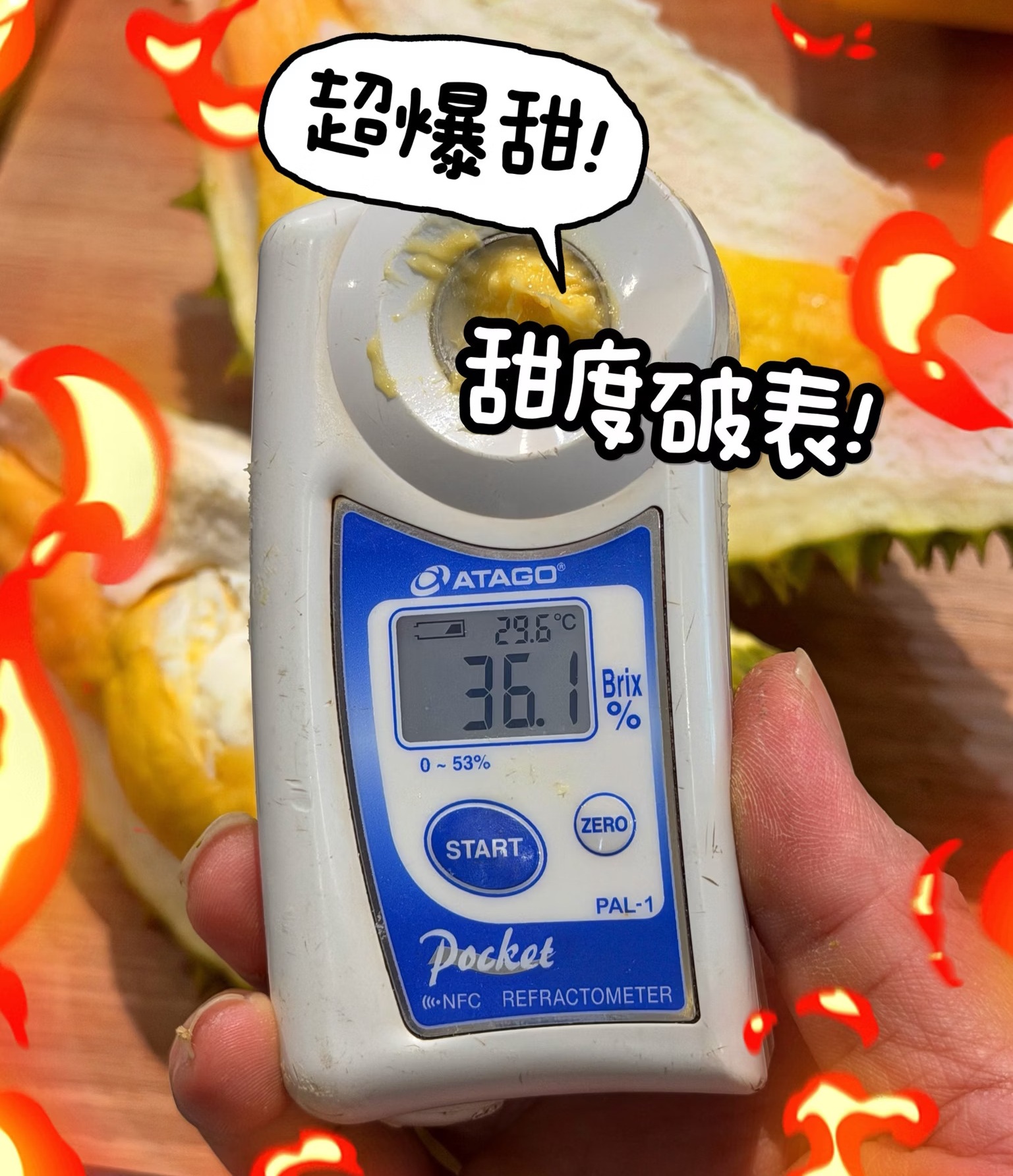 Kanyao Durian, , large