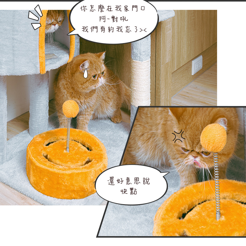 【Y HOUSE】四景一房雲端喵屋貓宅/貓跳台/貓爬架/貓窩/貓玩具/法蘭絨/大型貓窩, , large