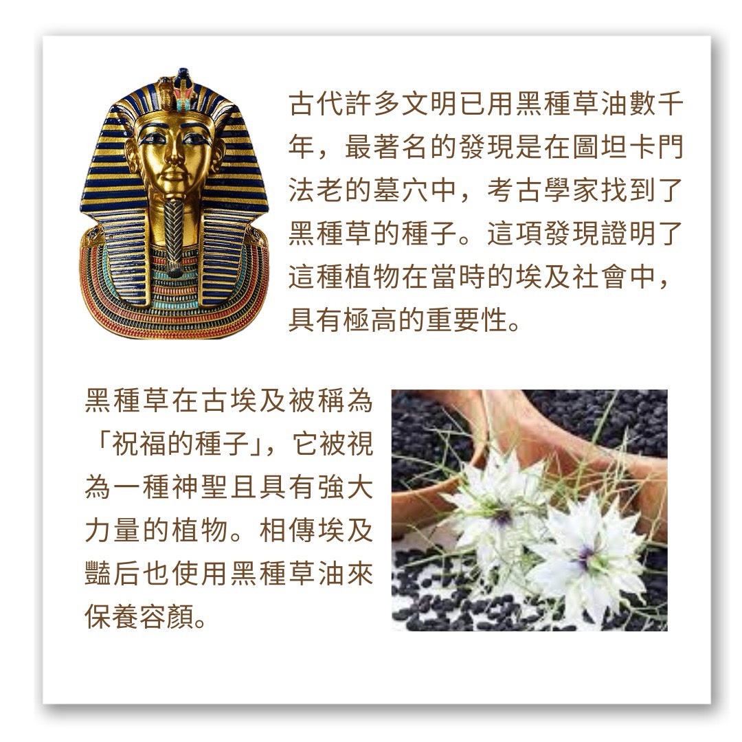 有機黑種草油, , large