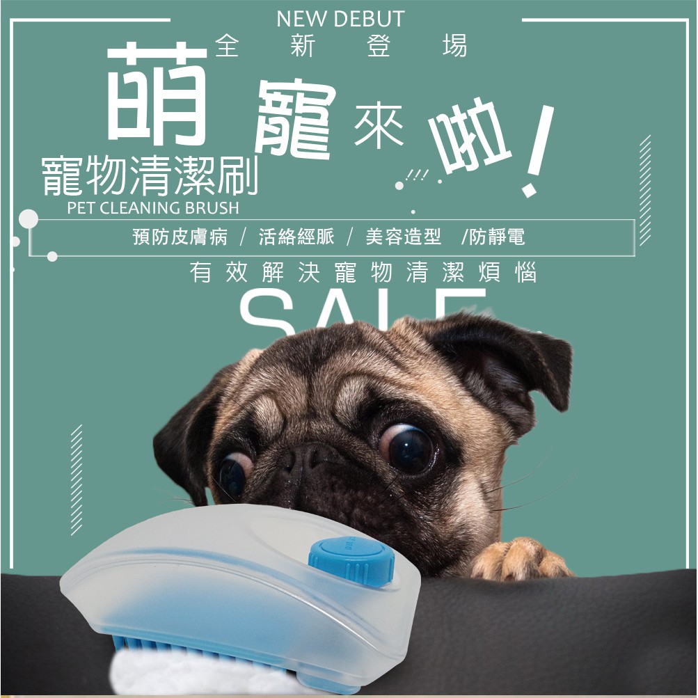GS MALL 專業沙龍級 寵物萬用清潔刷 梳毛梳 寵物清潔刷 美容刷 毛髮梳 寵物刷 寵物毛髮護理 寵物美容 毛梳, , large