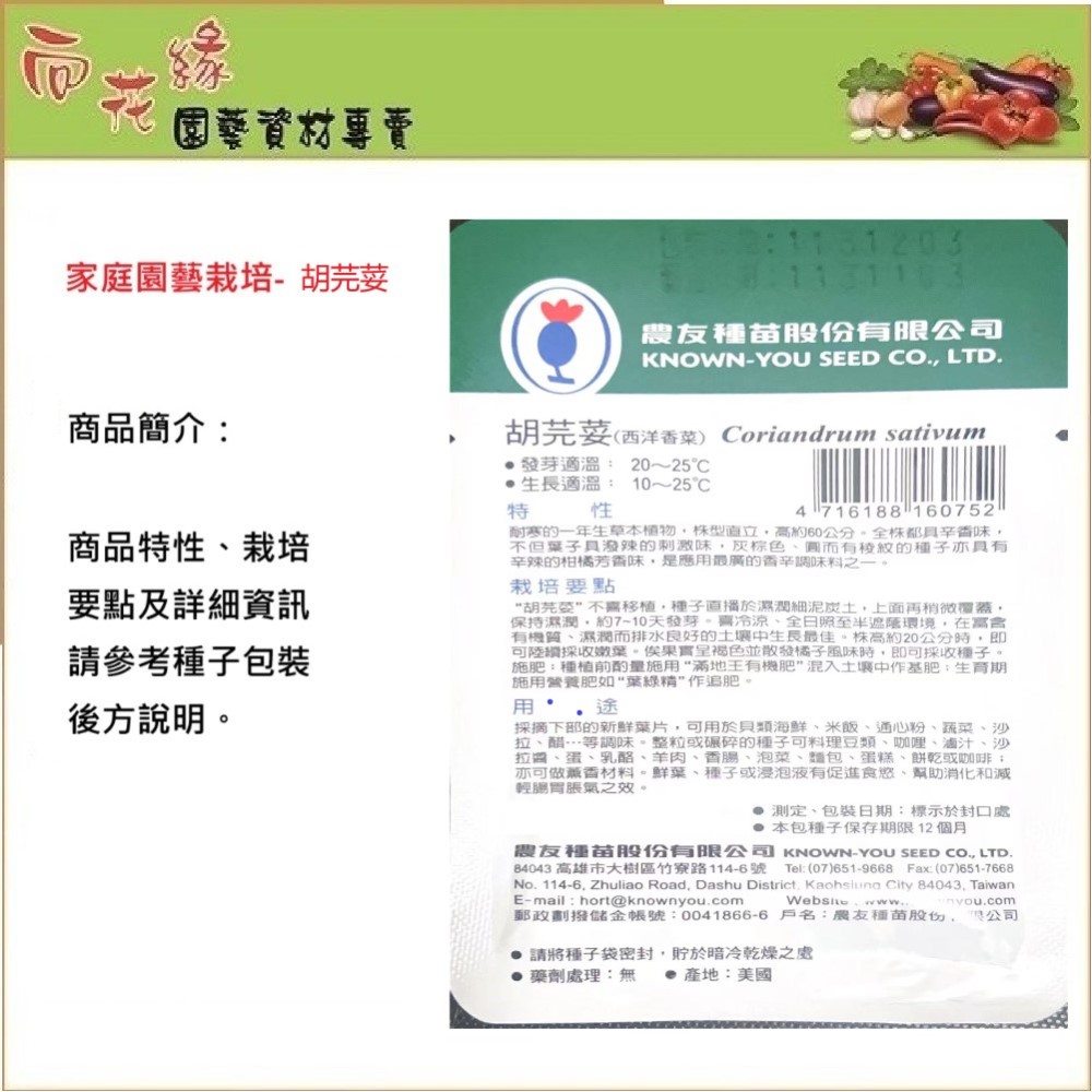 NongYou Coriander Herb Seeds, , large