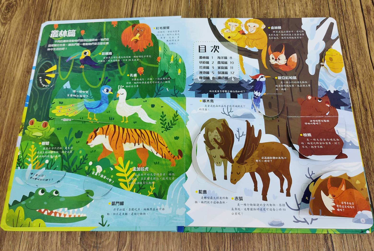 《南門書局》趣味科學知識揭祕翻翻書~揭祕動物, , large