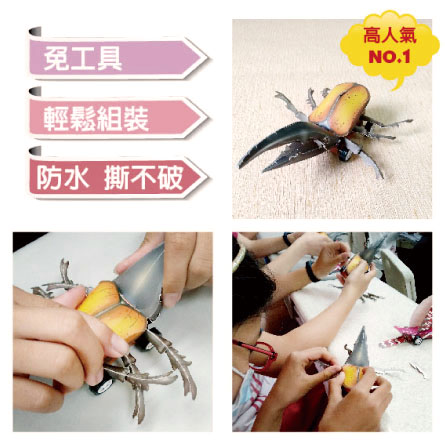 [OO屋] 科普好好玩 課程輔助教材 套組---益智DIY, 全彩, large