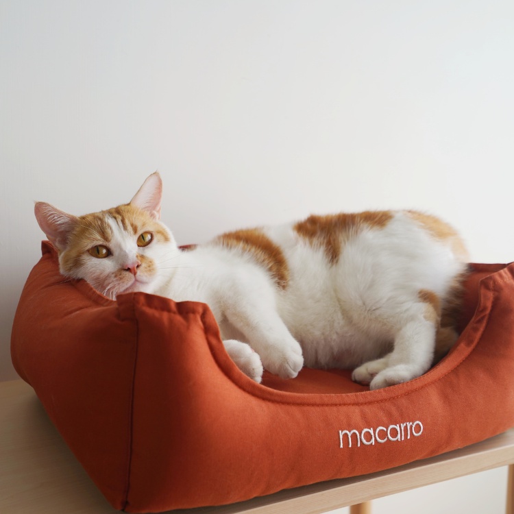 【paipaipets】Latex Pet Bed with cotton sheets - Maple Orange , , large