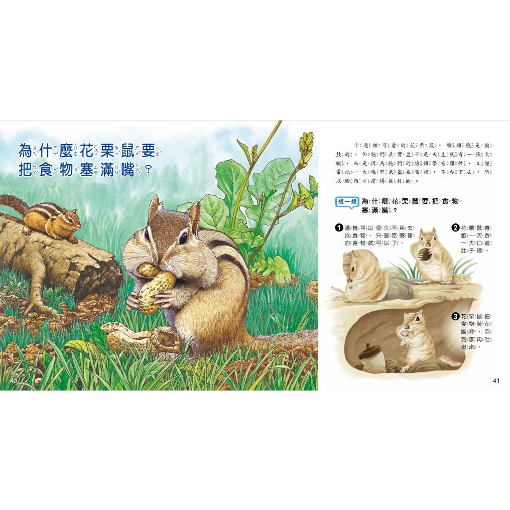 [小牛頓]WOW原來是這樣QRCode版(共10冊) 適合5-8歲 平裝全彩 大字注音圖解百科, , large