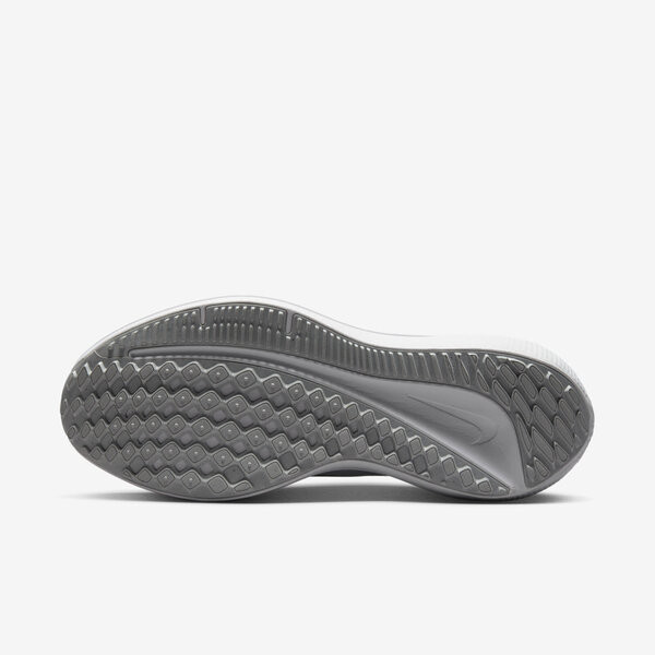 Nike W Air Winflo 10 男女 慢跑鞋 運動 路跑 基本款 緩震 舒適 白銀 [DV4023-102], , large