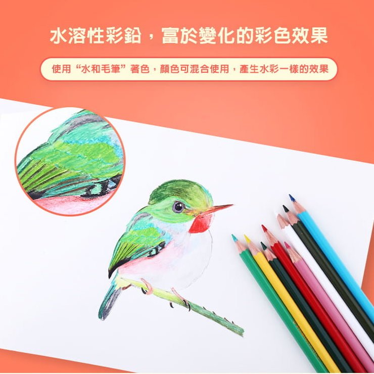 【德國天鵝STABILO】STABILOaquacolor 水彩樂水溶性色鉛筆 鐵盒12/24/36色鐵盒-12色(ST1612-5), , large