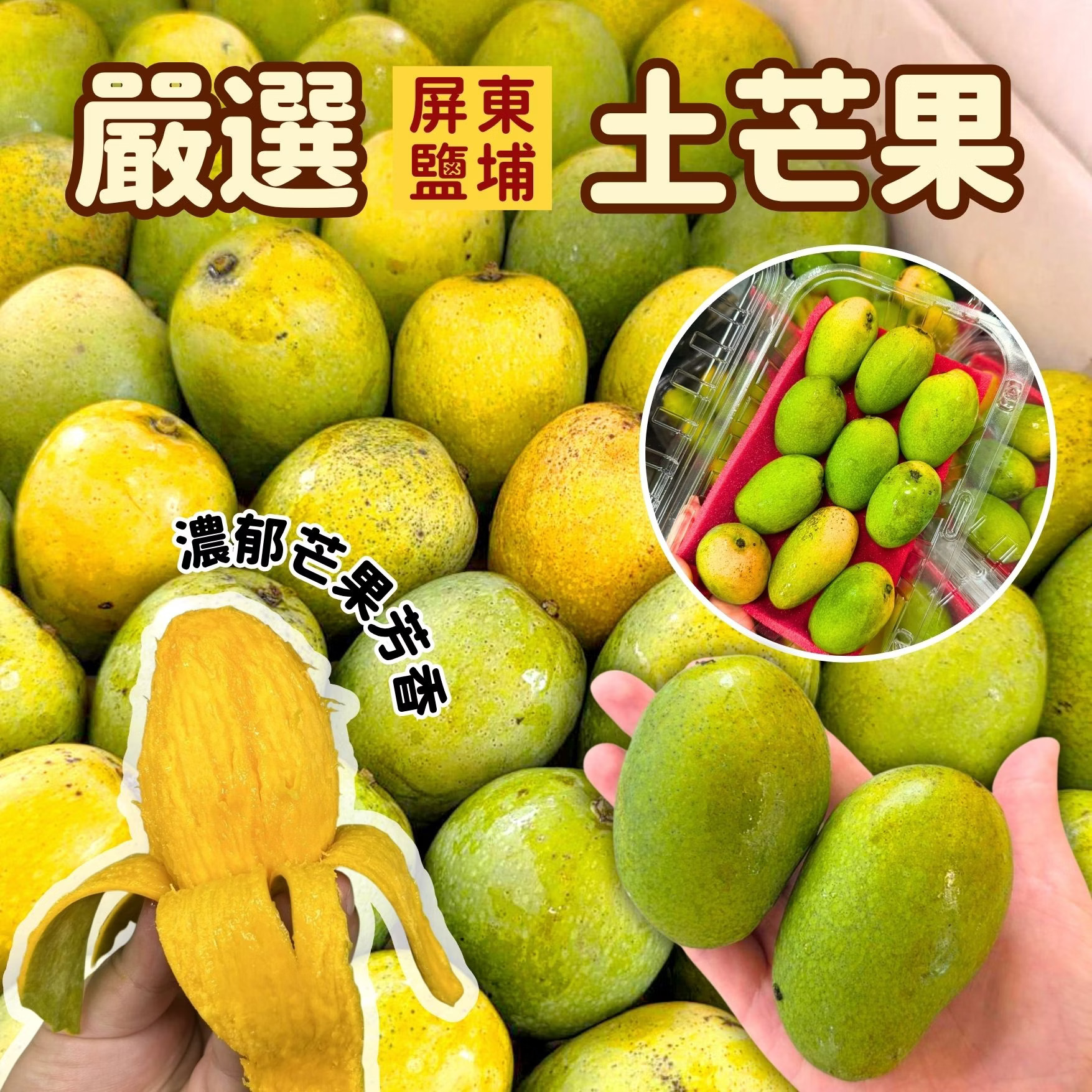 Native Mango, , large