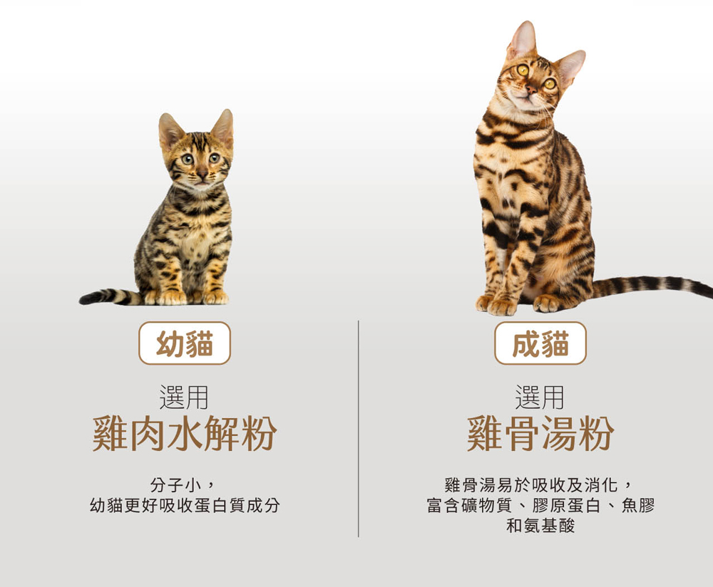 【TRILOGY奇境】幼貓 成貓 無穀慕斯主食罐頭85gX24罐, , large