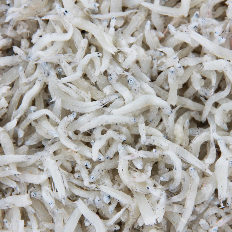 【17Buy】Taiwanese Whitebait, , large