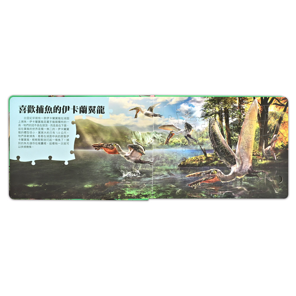 [風車圖書] PNSO翼龍知識百科拼圖, , large