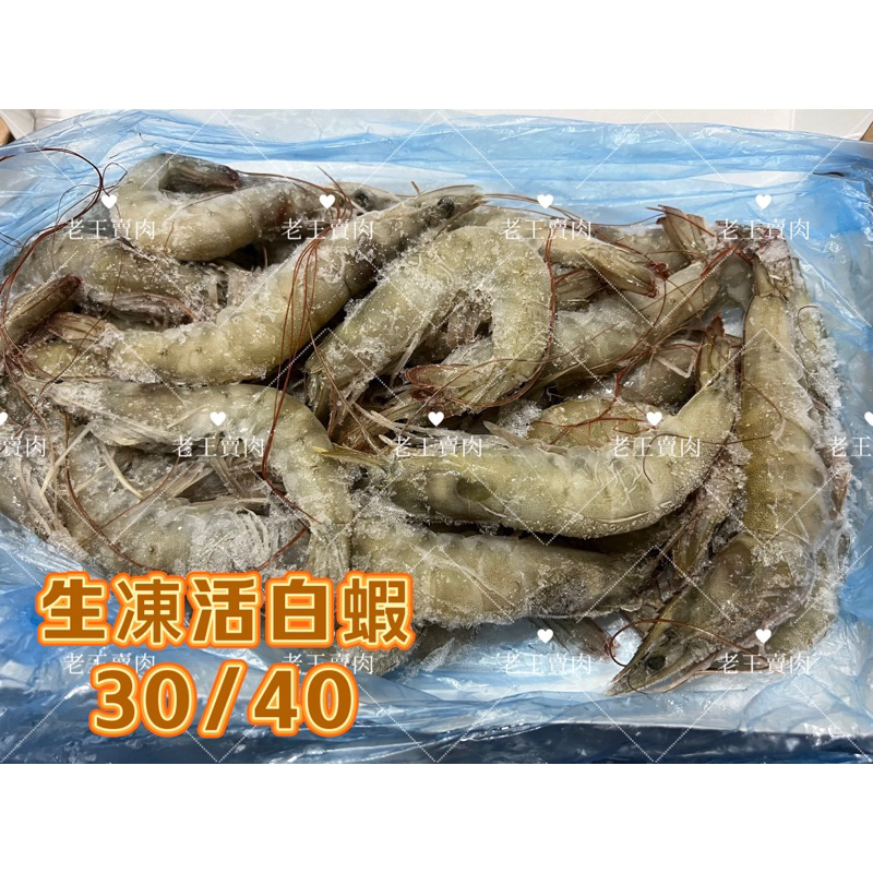 【老王賣肉】急凍白蝦850g｜白蝦 蝦子 海鮮 海產 烤肉 火鍋 冷凍白蝦, , large