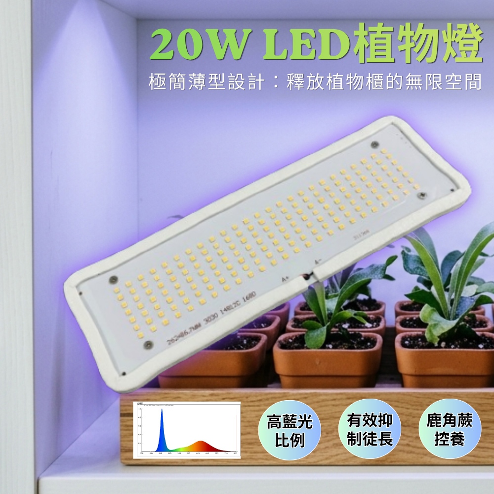 【君沛】7號光譜抑制徒長燈板 20W 藍光強化 磁吸式植物燈 鹿角蕨控養 龍舌蘭 塊根 縮刺 專業補光, , large