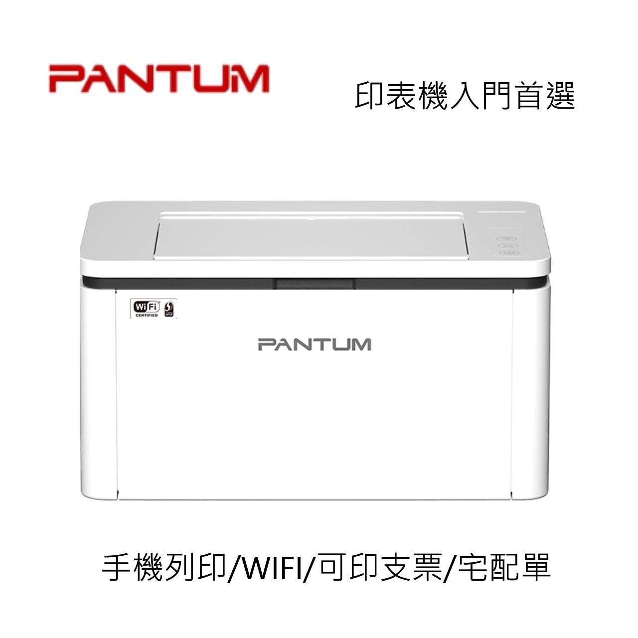 PANTUM, , large