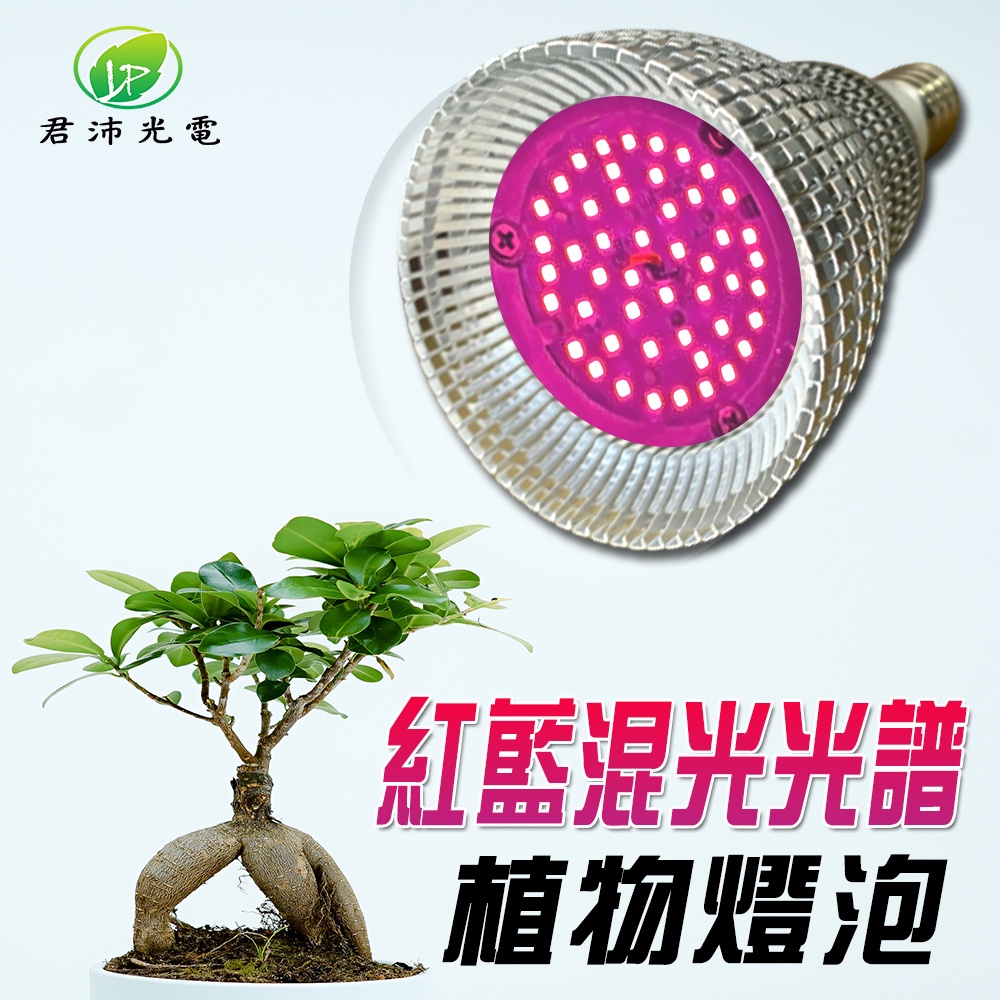 【君沛】紅藍混光 15W 高效能植物燈泡 E27 抑制徒長 精準發根 多肉控型 塊根 鹿角蕨孢子苗補光, , large