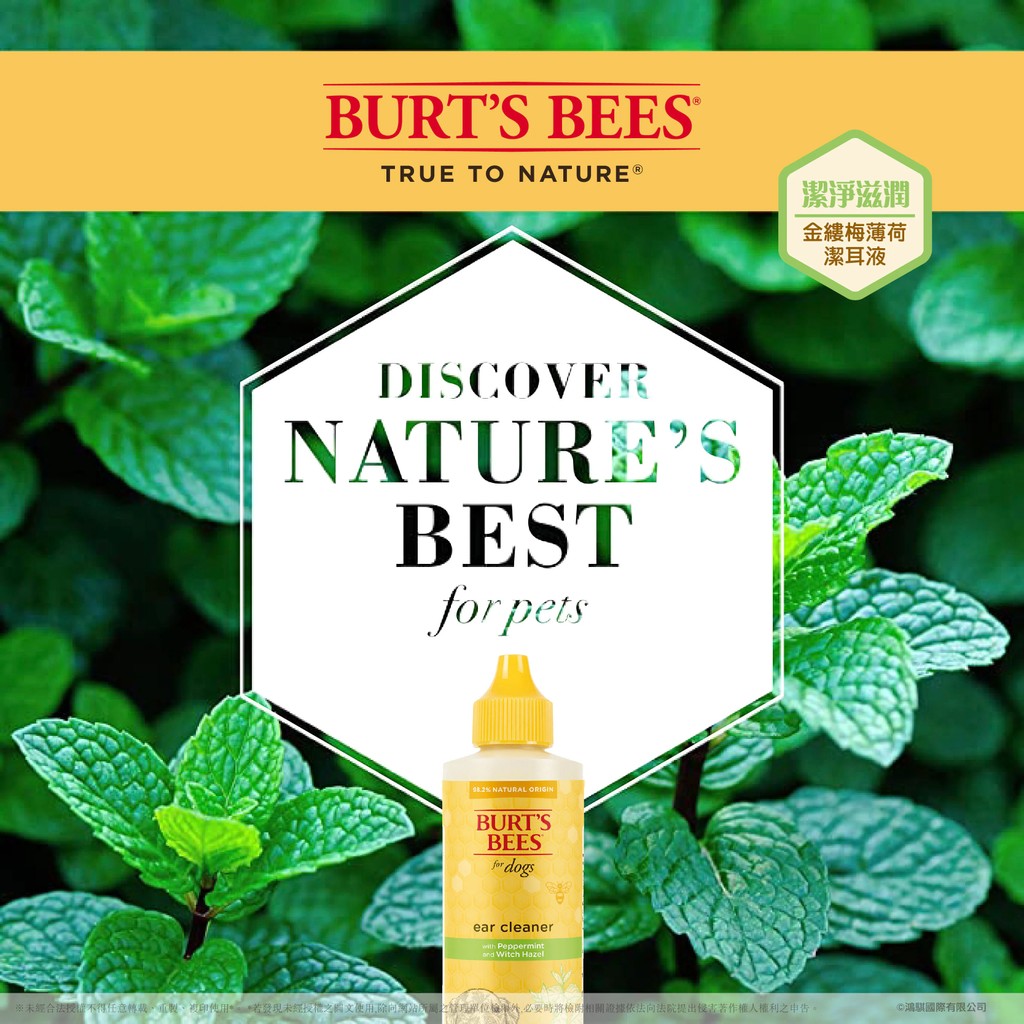 【PawHomie】Burt's Bees金縷梅薄荷潔耳液（犬用）, , large