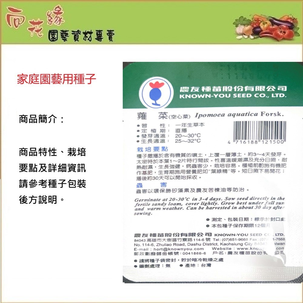 NongYou Water Convolvulus &ndash; Vegetable Seeds, , large
