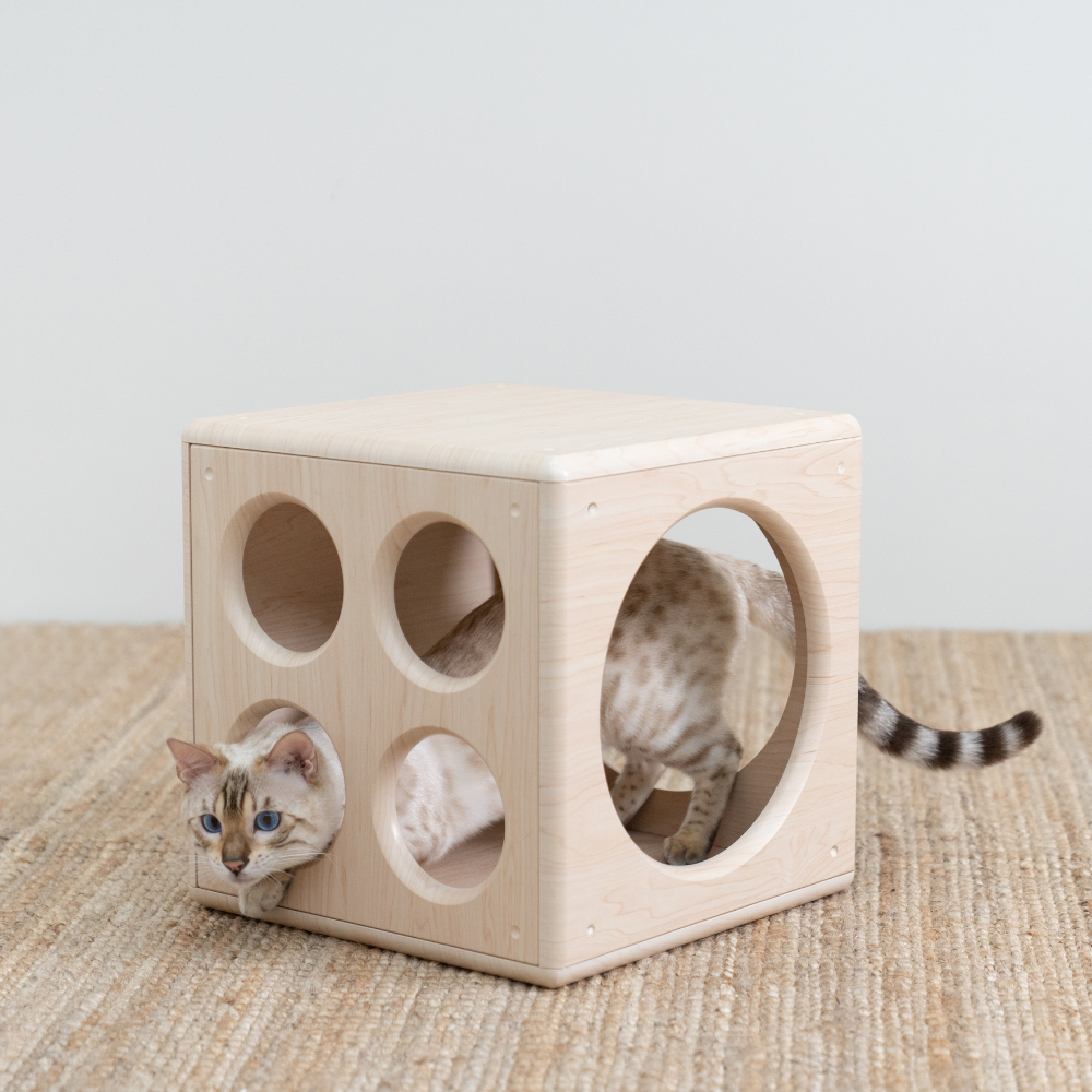 【paipaipets】Wooden Cube - Style B, , large