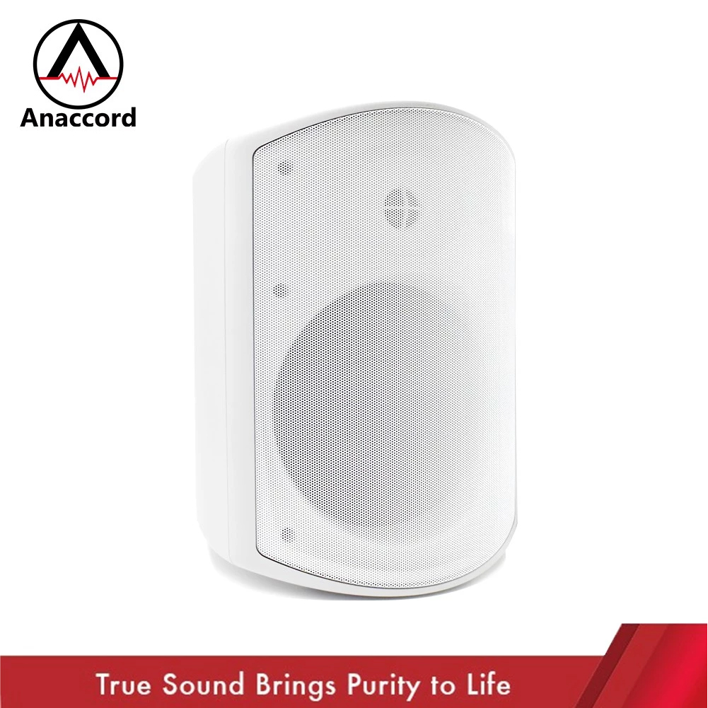 Anaccord雅那歌音響 DG-60T IPX66 防水40W | 重低音喇叭商用喇叭 一對｜, , large